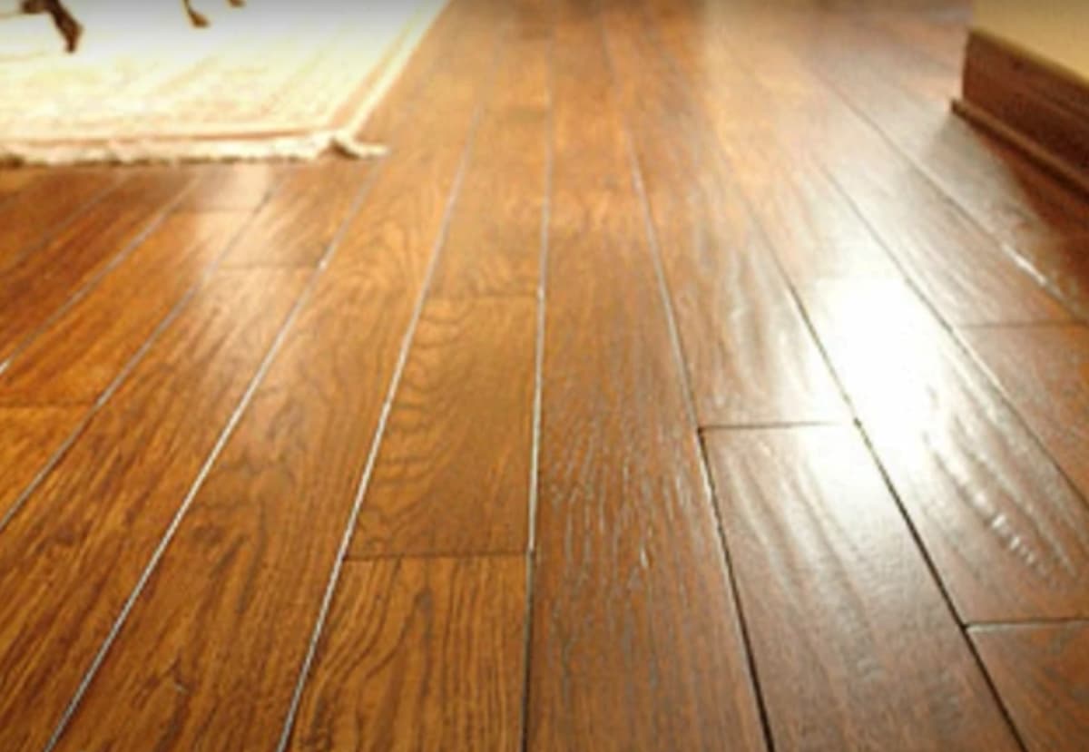 solid timber flooring vs carpet