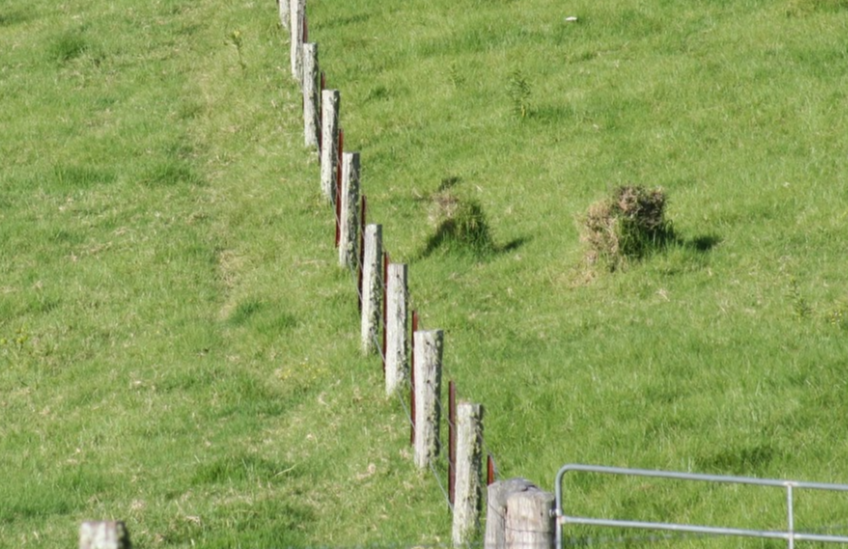 Wood & barbed wire fencing on a paddock