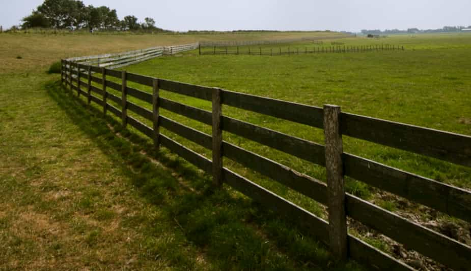 Wood farm fencing on a Paddock in Australia